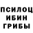 Галлюциногенные грибы мицелий Karen Mooney