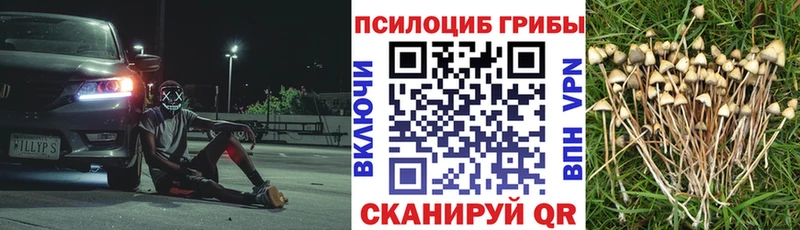 Галлюциногенные грибы Magic Shrooms  Котово 