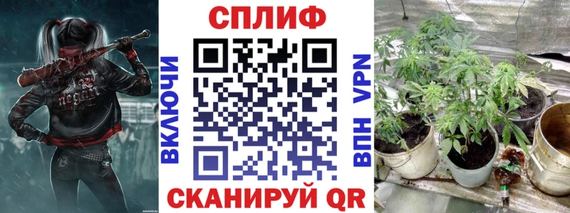 наркошоп  Котово  Канабис OG Kush 