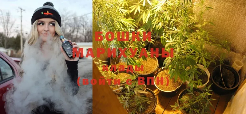 купить закладку  Котово  Бошки марихуана SATIVA & INDICA 